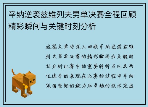 辛纳逆袭兹维列夫男单决赛全程回顾精彩瞬间与关键时刻分析