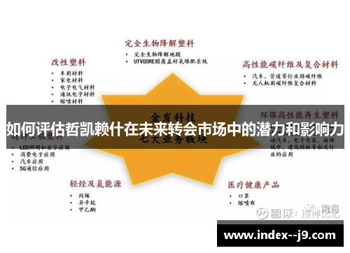 如何评估哲凯赖什在未来转会市场中的潜力和影响力 如何评估哲凯赖什在未来转会市场中的潜力和影响力