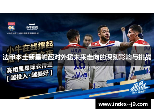 法甲本土新星崛起对外援未来走向的深刻影响与挑战